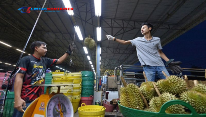 100 Kontainer Durian Thailand Ditolak Masuk China: Skandal Pewarna Kimia yang Menggemparkan