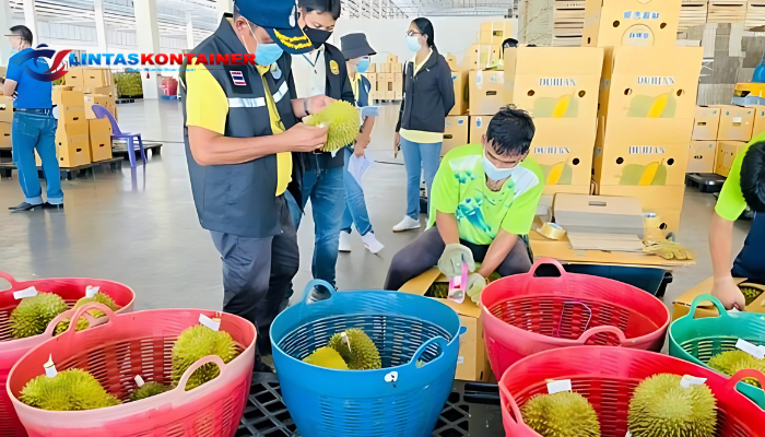 China Tolak Durian yang terdeteksi mengandung pewarna kimia berbahaya