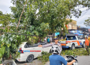 Pohon Roboh Dihantam Truk Kontainer, Mobil Tertimpa dan Lalu Lintas Tersendat