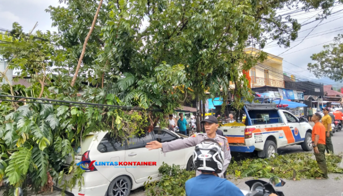 Pohon Roboh Dihantam Truk Kontainer, Mobil Tertimpa dan Lalu Lintas Tersendat