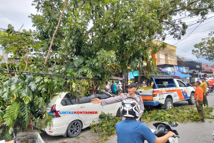 Disenggol Truk Kontainer, Pohon Tumbang Timpa Mobil dan Hambat Akses Jalan