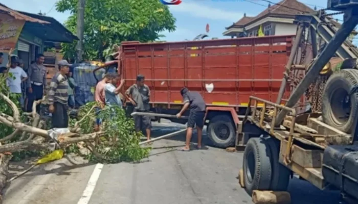 Sopir Mengantuk, Truk Kontainer Tabrak Pohon hingga Tercabut