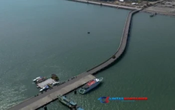 Kemenhub Ingatkan Pemda: Tahap I Patimban Rampung November!