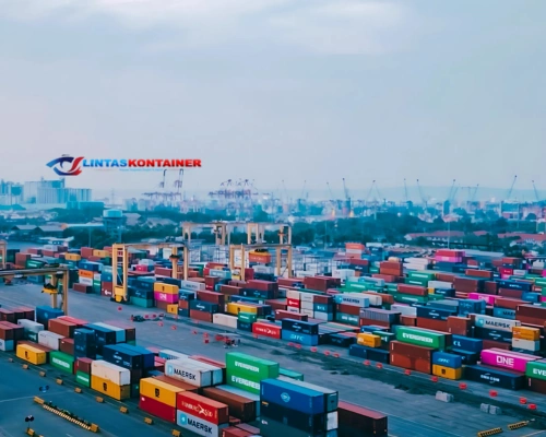 Awal 2025, Arus Peti Kemas TPS Tumbuh 1,4 Persen!