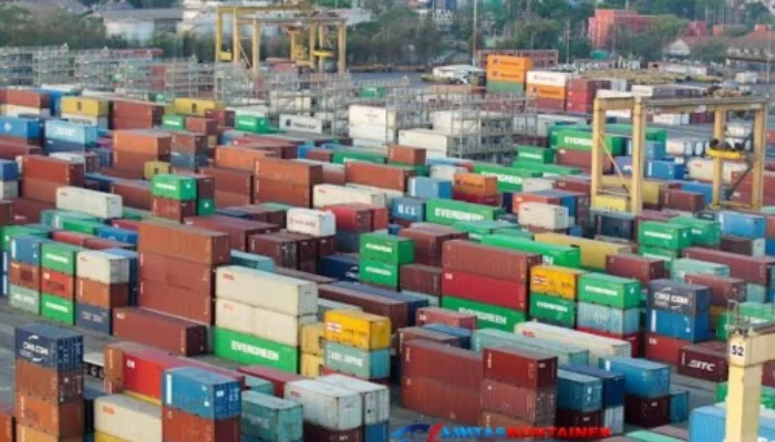 Awal 2025, Arus Peti Kemas TPS Tumbuh 1,4 Persen!