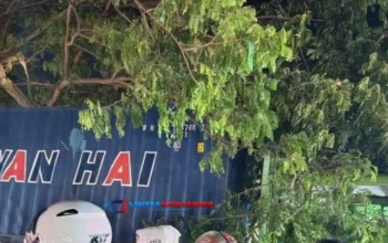Truk Kontainer Tabrak Kios di Tondo Kota Palu, Lalu Lintas Terganggu Parah!