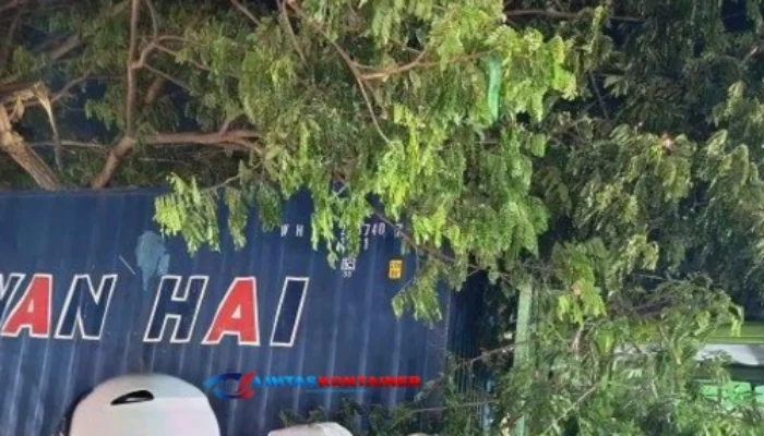 Truk Kontainer Tabrak Kios di Tondo Kota Palu, Lalu Lintas Terganggu Parah!