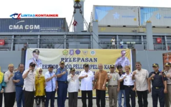 Ekspor ke Korsel & Jepang, Wood Pellet Gorontalo Jadi Primadona Baru!