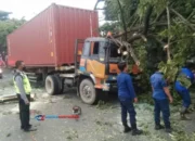 Truk Kontainer Tabrak Pohon, DLHK Depok Cepat Tangani Pohon Tumbang di Jalan Raya Parung-Ciputat