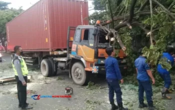 Truk Kontainer Tabrak Pohon, DLHK Depok Cepat Tangani Pohon Tumbang di Jalan Raya Parung-Ciputat