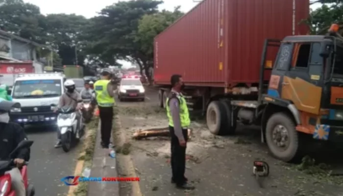 Truk Kontainer Tabrak Pohon, DLHK Depok Cepat Tangani Pohon Tumbang di Jalan Raya Parung-Ciputat