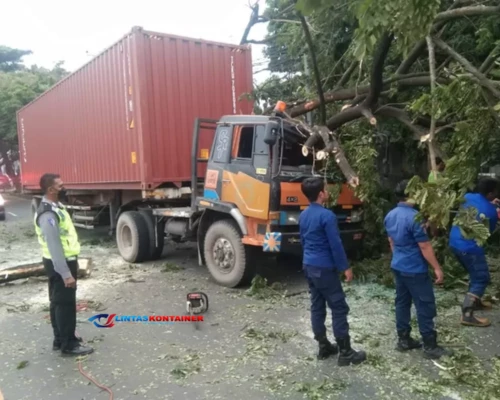 Truk Kontainer Tabrak Pohon, DLHK Depok Cepat Tangani Pohon Tumbang di Jalan Raya Parung-Ciputat