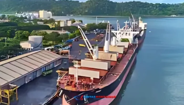 Trafik Kontainer Tumbuh 4% Per Tahun, Pelabuhan Patimban Diharapkan Beroperasi Penuh