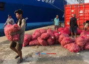 Bongkar Muat Kontainer di Ambon Tembus 42 Ribu TEUs Hingga Mei 2025
