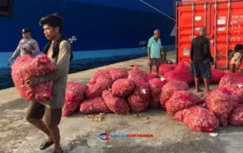 Bongkar Muat Kontainer di Ambon Tembus 42 Ribu TEUs Hingga Mei 2025