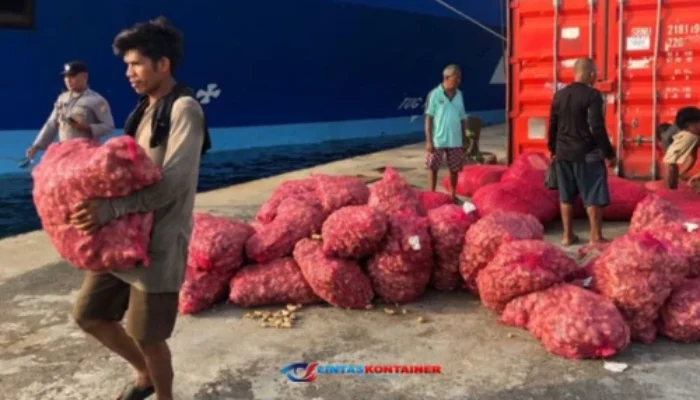 Bongkar Muat Kontainer di Ambon Tembus 42 Ribu TEUs Hingga Mei 2025