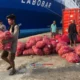 Bongkar Muat Kontainer di Ambon Tembus 42 Ribu TEUs Hingga Mei 2025