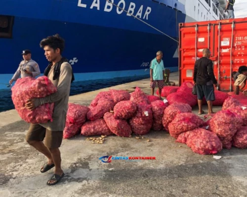 Bongkar Muat Kontainer di Ambon Tembus 42 Ribu TEUs Hingga Mei 2025
