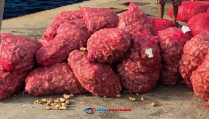 Bongkar Muat Kontainer di Ambon Tembus 42 Ribu TEUs Hingga Mei 2025