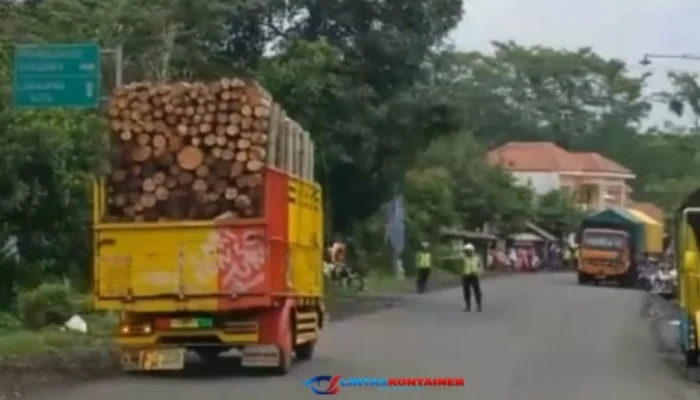 Demi Konten, Truk Kayu Oleng di Lumajang Nyaris Timbulkan Kecelakaan