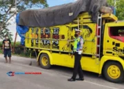 Ngerem Hari Ini, Berhentinya Sabtu! Bahaya Truk ODOL