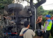 Rem Blong, Truk Tronton Muatan Kertas Tabrak Pohon dan Terguling di Pati