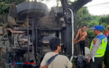 Rem Blong, Truk Tronton Muatan Kertas Tabrak Pohon dan Terguling di Pati