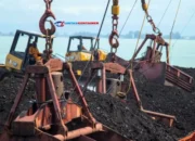 Batu Bara Ilegal IKN: 351 Kontainer Disita di Tanjung Perak
