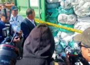 Terkuak! Sindikat Batu Bara Ilegal di IKN, 20 Ton Lebih per Kontainer Rugikan Negara Rp5,7 Triliun