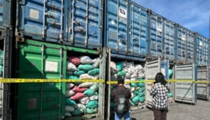 Terkuak! Sindikat Batu Bara Ilegal di IKN, 20 Ton Lebih per Kontainer Rugikan Negara Rp5,7 Triliun
