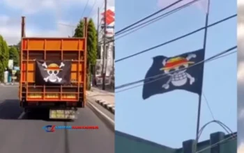 Bendera Luffy Mengguncang RI! DPR Tuding Jolly Roger Picu Perpecahan