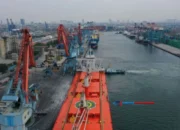 PTP Non Petikemas Tanjung Priok: Mesin Penggerak Logistik Nasional!
