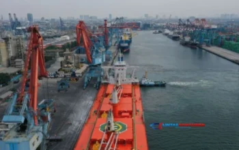 PTP Non Petikemas Tanjung Priok: Mesin Penggerak Logistik Nasional!