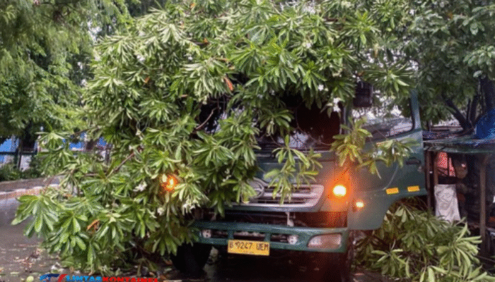 Senggol Pohon, Truk Kontainer Tertimpa Mahoni di Lingkar Kudus!