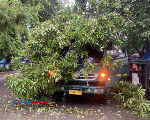 Senggol Pohon, Truk Kontainer Tertimpa Mahoni di Lingkar Kudus!