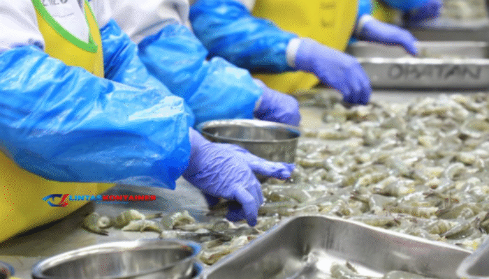KKP Heboh! Ekspor Udang Indonesia Lolos Kebijakan FDA Baru 2025