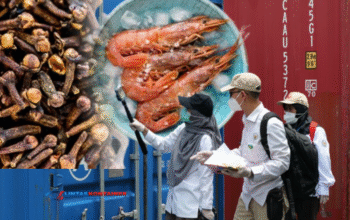 Heboh! Kontainer Udang Tercemar Radioaktif Cs-137 Tiba Tanjung Perak Akhir Oktober 2025