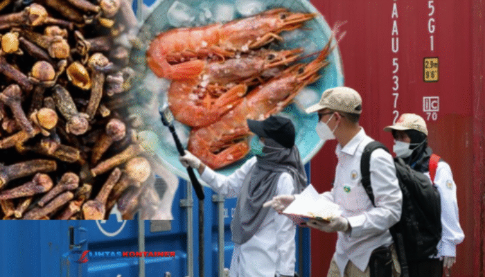 Heboh! Kontainer Udang Tercemar Radioaktif Cs-137 Tiba Tanjung Perak Akhir Oktober 2025