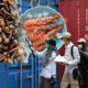 Heboh! Kontainer Udang Tercemar Radioaktif Cs-137 Tiba Tanjung Perak Akhir Oktober 2025