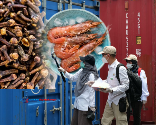Heboh! Kontainer Udang Tercemar Radioaktif Cs-137 Tiba Tanjung Perak Akhir Oktober 2025