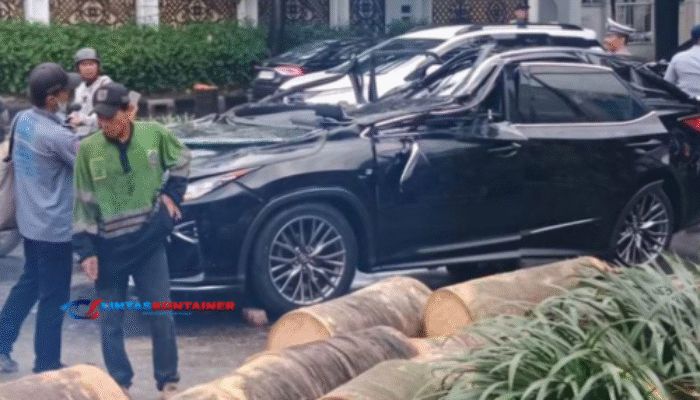 Polisi Ungkap Kronologi Pengemudi Lexus Tewas Tertimpa Pohon di Pondok Indah