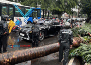Mobil Lexus Ringsek Tertimpa Pohon di Pondok Indah: Pengemudi Tewas di Tempat!
