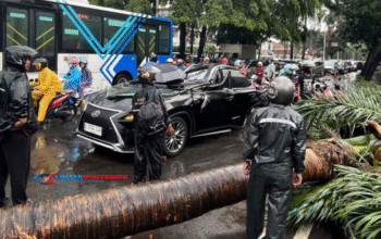 Mobil Lexus Ringsek Tertimpa Pohon di Pondok Indah: Pengemudi Tewas di Tempat!