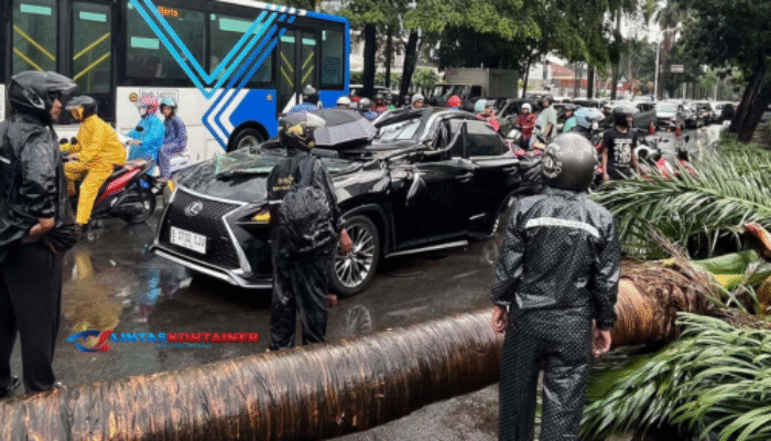Mobil Lexus Ringsek Tertimpa Pohon di Pondok Indah: Pengemudi Tewas di Tempat!