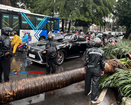 Mobil Lexus Ringsek Tertimpa Pohon di Pondok Indah: Pengemudi Tewas di Tempat!