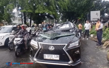 Polisi Ungkap Kronologi Pengemudi Lexus Tewas Tertimpa Pohon di Pondok Indah