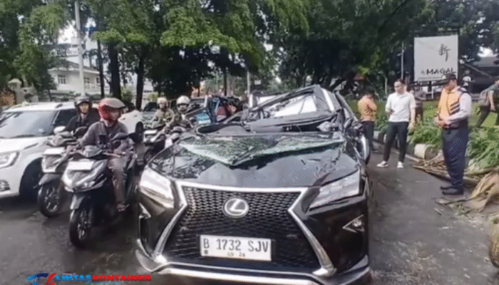 Polisi Ungkap Kronologi Pengemudi Lexus Tewas Tertimpa Pohon di Pondok Indah