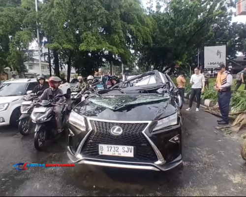 Polisi Ungkap Kronologi Pengemudi Lexus Tewas Tertimpa Pohon di Pondok Indah