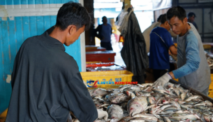 Heboh! KKP Berhasil Nego: Ribuan Kontainer Udang RI Boleh Masuk AS