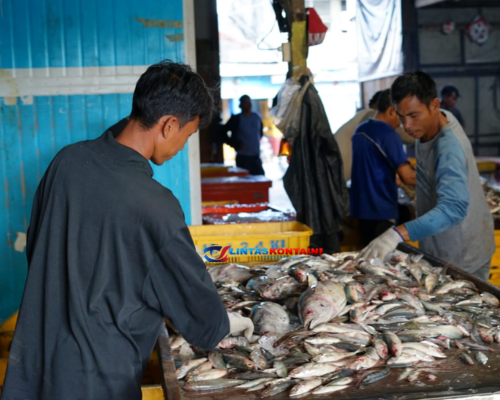 Heboh! KKP Berhasil Nego: Ribuan Kontainer Udang RI Boleh Masuk AS